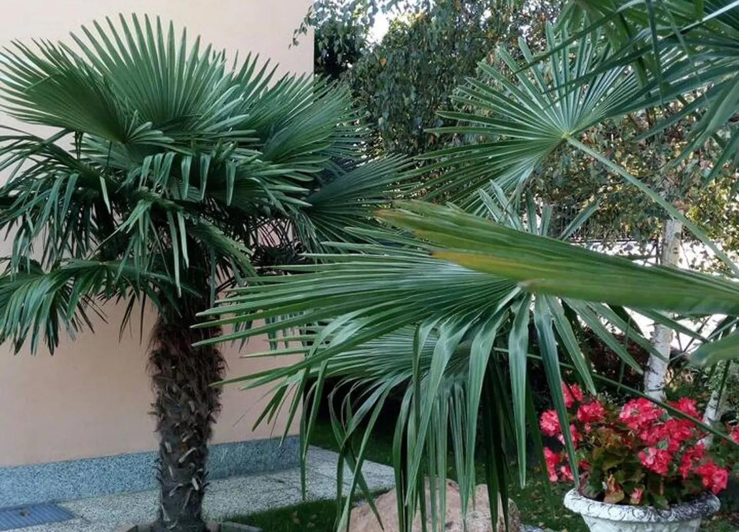 Charming Apartment In Lavena Ponte Tresa 70M² Spacious Terrace 0*,  Italy
